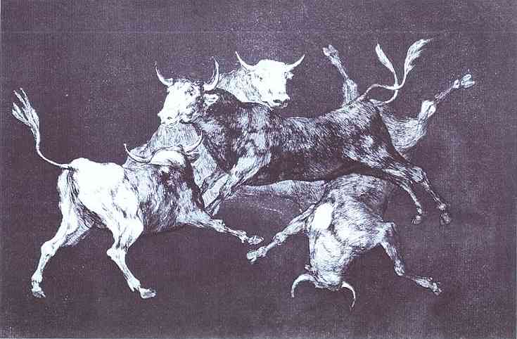 disparate de tondoa (foolishness of the fools)